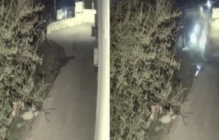 Süratli giden sürücü çarptığı duvarı parçaladı: 1'i ağır 3 yaralı