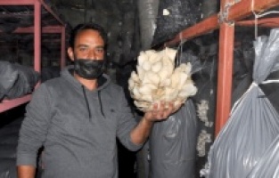 Tır şoförlüğünden mantar üretimine