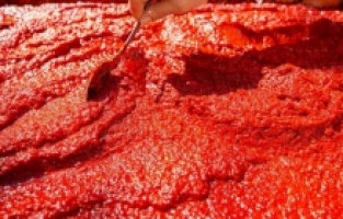 Türkiye, yılın ilk çeyreğinde 90 ülkeye 40 milyon dolarlık salça sattı