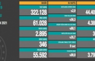 Vaka ve ölü sayıları yükseldi