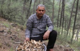 Yerini bilen buraya koştu