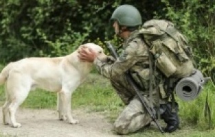 'Albeyaz' operasyonu