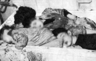 Bilim Kurulu Üyesi İlhan: Ağabeylerimin adları verildi