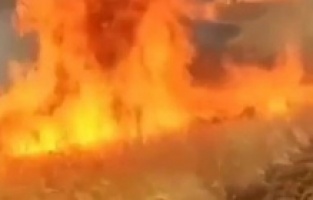 Buğday tarlası küle döndü