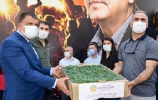 Dondan zarar gören çiftçilere fide desteği