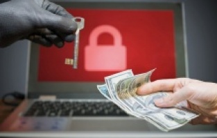 Fidye yazılımlar için acil eylem çağrısı