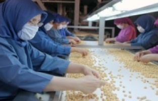 FİSKOBİRLİK, pandemiye rağmen ihracatta hız kesmedi