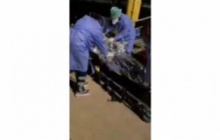 Gece yarısı denize atlayan vatandaşı polis ekipleri kurtardı