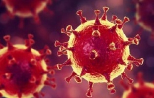 İşte Covid 19'un tek iyi yönü