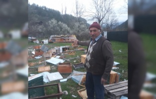 Karabük'te ayılar arı kovanlarını parçaladı