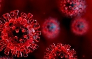 Koronavirüsle araştırmasında ömür boyu antikor umudu