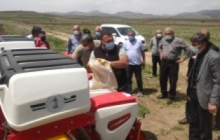 Malatya’da kayısıya alternatif: Kabak