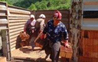 Onların ne Anneler ne de Kadınlar Günü var