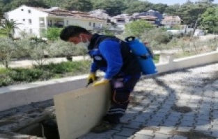 Vektör ile mücadele devam ediyor