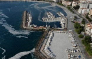 1 haftada toplanan müsilaja şaşıracaksınız!