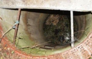 Arkadaşını öldürüp kuyuya attı