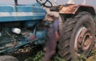 Aydın'da çiftçi tarlasında ölü bulundu!