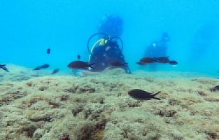 Burası dalış tutkunlarını cezbediyor