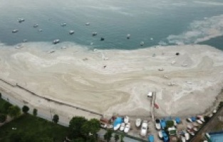 İstanbul'da müsilaj temizleme çalışmaları hız kesmeden devam ediyor!