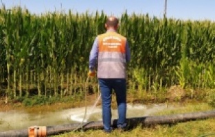 Sineksiz bir yaz için larvayla mücadele devam ediyor!