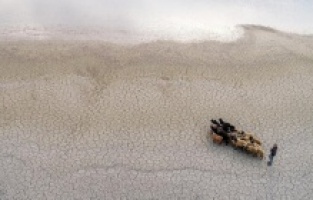 Van Gölü kuraklıkla savaşıyor!