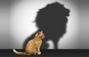 Zamanın hastalığı ‘Narsist Kişilik Bozukluğu’