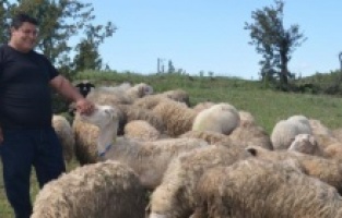 7 bin TL'lik maaşı bırakıp çobanlığa başladı