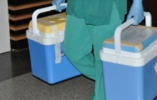 Kovid-19 nedeniyle geçen yıl azalan organ nakilleri artmaya başladı!