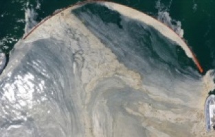 Bakan Kurum "Marmaramız mavisine kavuşuyor" diyerek müsilaj temizleme çalışmalarının devam ettiğini belirtti!