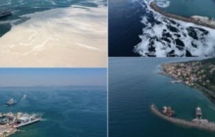 Marmara Denizi'nin güney kıyılarında müsilaj yoğunluğu azaldı!