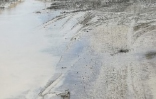 Şiddetli yağış köy yollarını dereye çevirdi