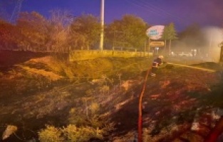 Diyarbakır'da orman yangını!