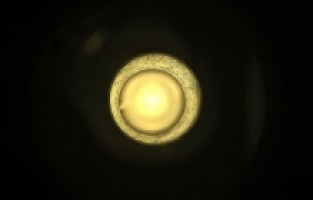 NASA'nın Mars kaşifi