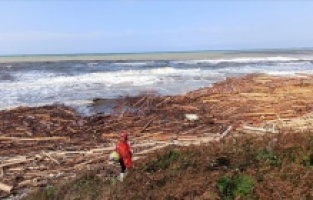 Sahil şeridi savaş alanına döndü