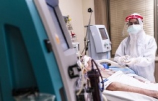 Vaka sayısı stabil