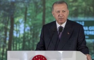 Erdoğan duyurdu: 81 ilde 81 Millet Ormanı