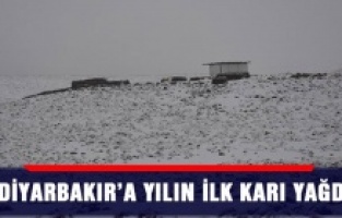 Diyarbakır'a mevsimin ilk karı yağdı