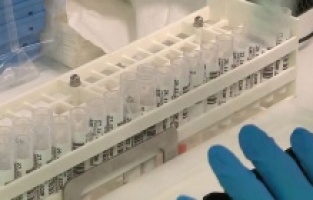 DSÖ: “Omicron mutasyonu Delta mutasyonundan daha hızlı yayılıyor”