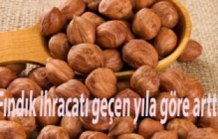 Fındık ihracatı geçen yıla göre arttı