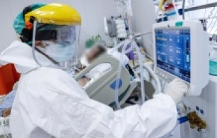 Koca: Artık kendi aşımız kendi gücümüz var