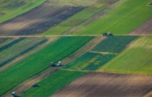 Milli emlak hazine arazilerini satıyor