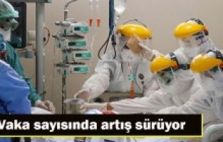 Vaka sayısında artış sürüyor