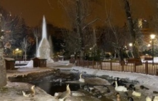 Ankara’nın simge yeri Mogan gölü buz tuttu