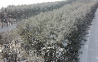 Bozkırın ortasındaki tarihi İstasyon ’da kış güzelliği