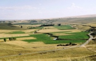 Satılık Araziler! 342 M2 Tarla 1.438 TL, 124 M2 Bahçe 2.497 TL, 159 M2 Arsa 4 Bin TL