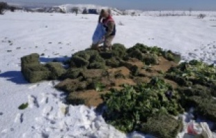 Malatya'da Yaban Hayvanları Unutulmadı