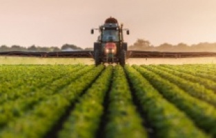 Tarım ürünleri üretici fiyat endeksi yüzde 52 arttı