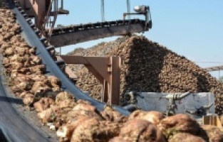 50 kiloluk şekeri 260 liraya alıp tüketiciye 450 liraya satıyorlar