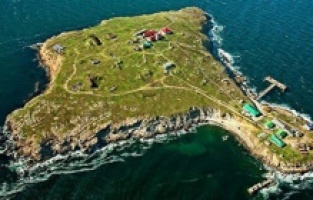 Rus güçleri Yılan Adasını ele geçirdi