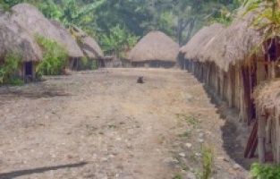 Bu kabilede kadınlar parmaklarını kesiyor